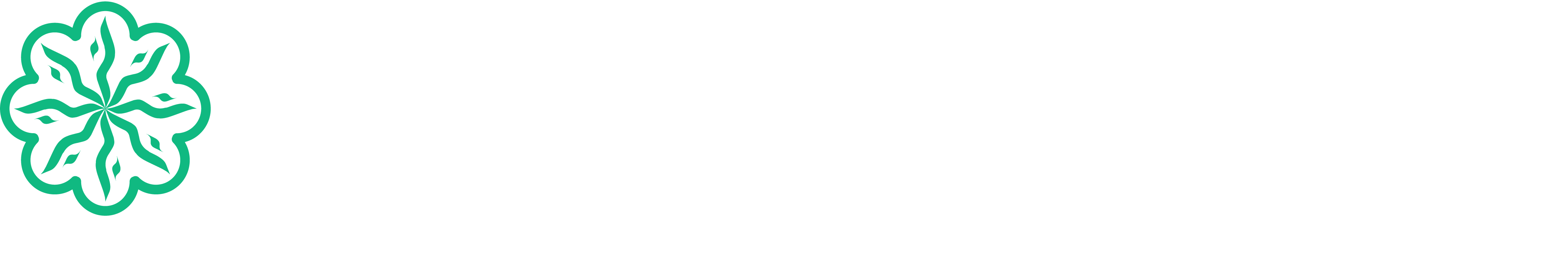 SabeelTech
